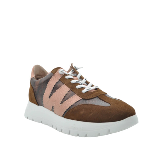 wonders trainers