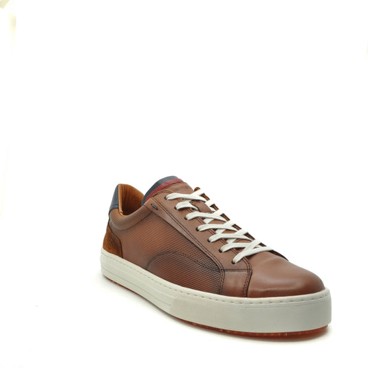ambitious shoes