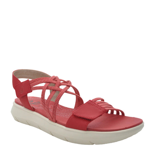 JANA 8-28766