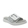 silver mule slides