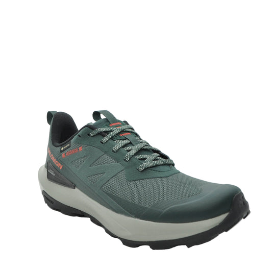 mens salomon shoes