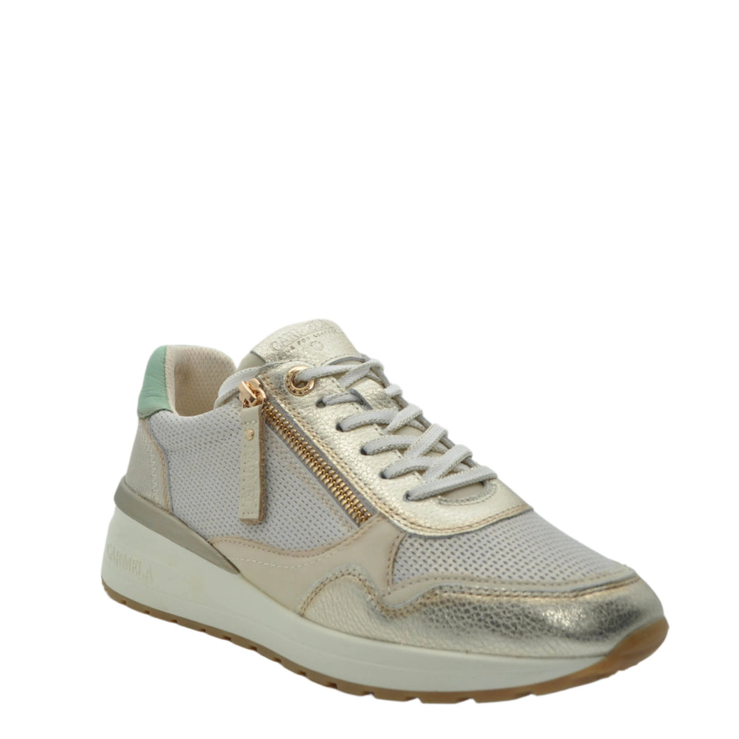 carmela trainers online