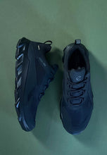 Load image into Gallery viewer, gore tex shoes ecco