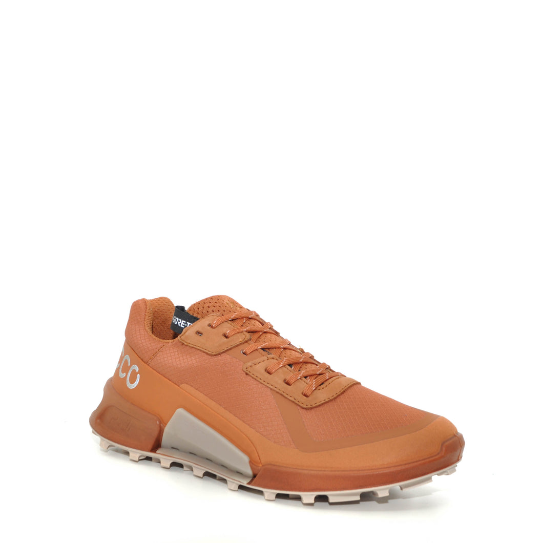 ecco gore tex shoes